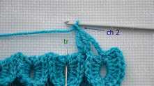 Work ch 2. 1 tr in the center of the next scale.