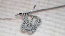 Dandee Butterfly Crochet Stitch
