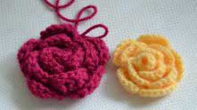 Chinese Rose