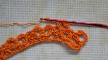 Intersecting Flowers Crochet Stitch