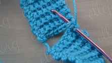 Insert hook in top of sc's on both edges.