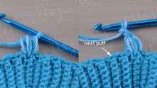 Yarn over, and pull through all loops on the hook. Ch 2, puff stitch.