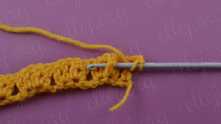 Yarn over, insert hook under dc. Yarn over and pull loop.
