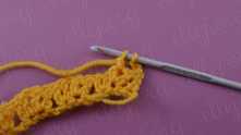 Yarn over, and pull through last 2 loops on the hook.