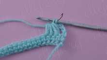 Yarn over and pull yarn through all loops on hook.