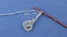 Half double crochet (hdc) in the first dc (not to be confused with the sl st).