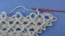 Work ch 3. Sc in chain around.