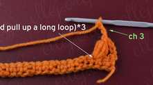 Work ch 3. (YO and pull up loop) 3 times in the same sc.