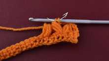 Yarn over, and pull through last 2 loops on the hook.