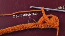 Work ch 3. 2 puff stitch together in the arrow marked scs.