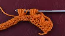 Wings Crochet Stitch