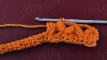 Wings Crochet Stitch