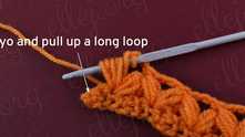 Yarn over and pull a long loop in last sc.