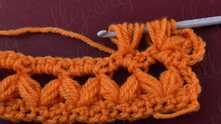 Wings Crochet Stitch
