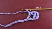 Work ch 2. "Front" tr in first skipped ch.