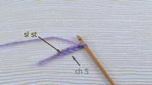 Chain (ch) 5. Join with slip stitch (sl st) to form a ring.