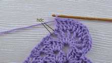 2 hdc in next 2 stitches.