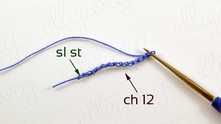 Chain (ch) 12. Join with slip stitch (sl st) to form a ring.