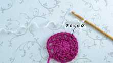 Attach white yarn in any space. 2 dc, ch 2.