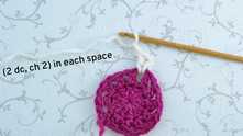 (2 dc, ch 2) in each space of the previous round.
