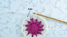 2 dc at the end of the round. Join round with half double crochet (hdc) in the top of the first dc.