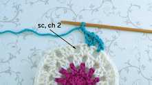 Single crochet (sc) in the next space, ch 2.