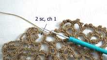2 sc in the next chain around. Work ch 1.