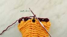 Work ch 2. First Puff stitch: insert the hook under chain on the frame and in space between the Puff stitches. Work ch 2.
