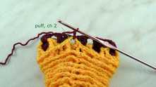 First Puff stitch in same space. Work ch 2.