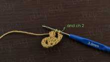 YO, and pull through last 2 loops on the hook, ch 2.