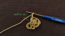 And 1 more puff stitch in same dc, ch 1.
