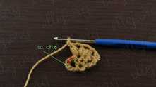Skip 2 ch, 1 sc in 3-rd ch, ch 6. Turn the work.