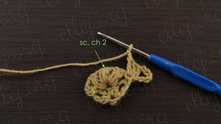 1 sc in the middle puff stitch, ch 2.