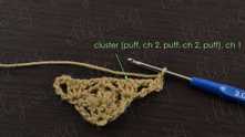 Make the cluster with puff stitches (1 puff st, ch 2, 1 puff st, ch 2, 1 puff st) in the middle dc, ch 1.