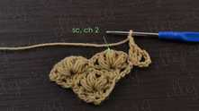 1 sc in the middle puff stitch, ch 2.