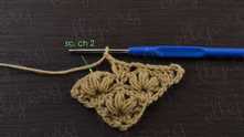 1 sc in the middle puff stitch, ch 2.