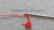 V-puff st in the ring: puff st, ch 1, puff st. Work ch 3.