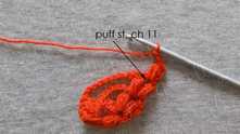 1 puff st in same space, ch 11.