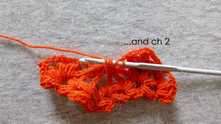 (YO, pull the loop) 2 times. YO and pull yarn through all loops on hook, except one. YO, and pull through last 2 loops on the hook. Work ch 2.