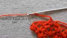 V-puff st with 2 ch, at the end of the row. Work ch 3. Turn.