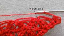 V-puff st in the next V-puff st, ch 3.