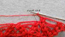 V-puff st in the V-puff st, ch 8. And so on.
