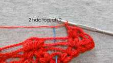 Make spider. 2 hdc tog in all chains around, ch 2.