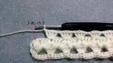 3 dc in the last puff stitch, ch 2.