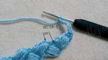 Sc in the same loop of the next puff stitch around or in the chain around. As you wish. Work ch 5.