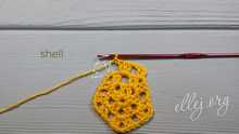 Shell in the shell.