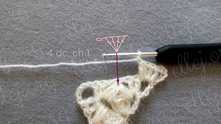 4 dc in the top of puff stitches, ch 1.