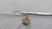 Puff stitch in the next sc.