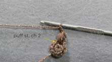Puff stitch in the next sc, ch 2.