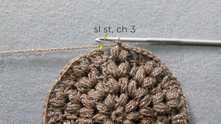Join round with sl st in 3-rd beg ch. Work ch 3.